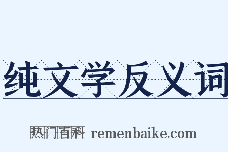 纯文学反义词是什么意思的图片